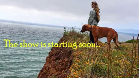 TATUM  ALL MY LINKS  online show from 02.28.26