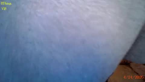 TATUM  ALL MY LINKS  online show from 04.24.26