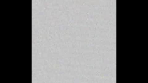  Little Taylor  online show from 02.14.25