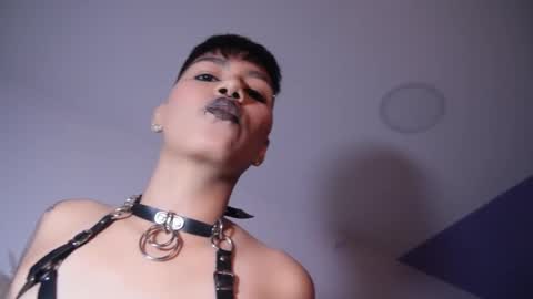 Taylor online show from 11.05.25