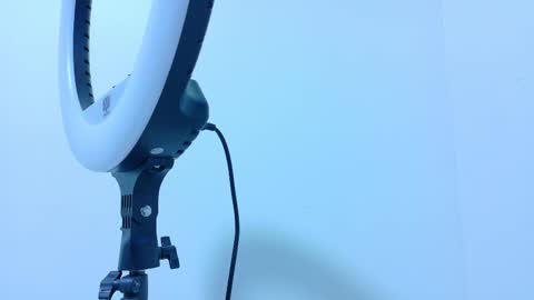 TAYLOR  online show from 11.13.25