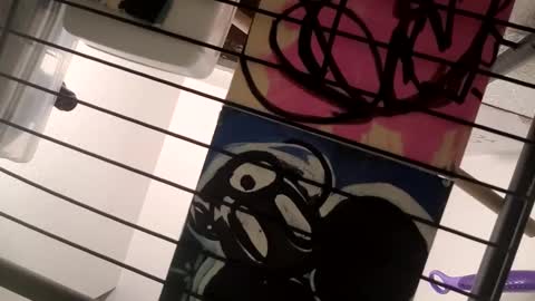 Luis online show from 02.10.25