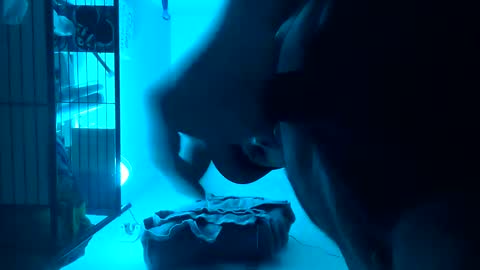 Luis online show from 02.14.25