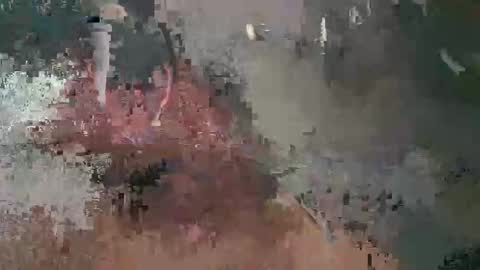 Luis online show from 02.17.25