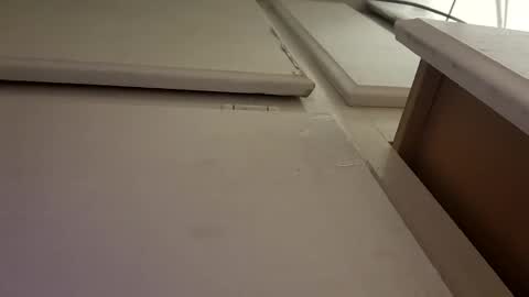 Luis online show from 10.06.25