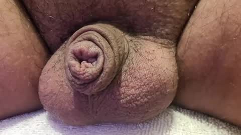 Luis online show from 10.14.25