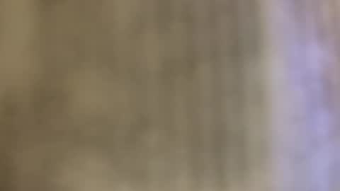 Luis online show from 10.24.25