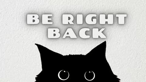 Ted online show from 01.05.26