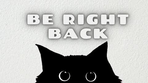 Ted online show from 01.17.26