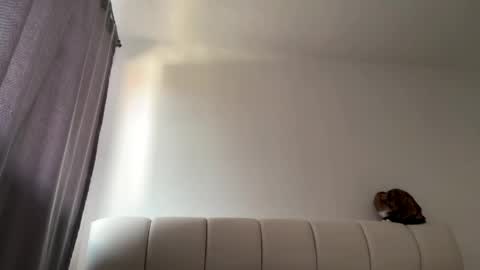 Amy No penetration Virgiin giirl online show from 04.10.26