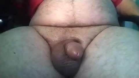 Templargeor online show from 02.03.25