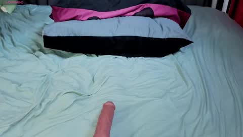 Tendrepoison online show from 01.14.26