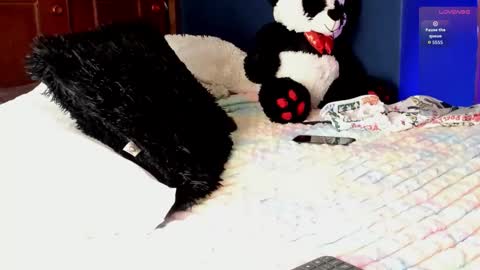 Snapshot of teo_369 chatting on 03.11.26 Teo online show from 03.11.26