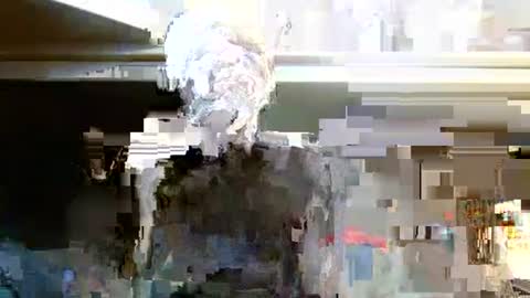 Snapshot of terdy2366 chatting on 10.07.25 terdy2366 online show from 10.07.25