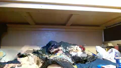 Snapshot of terdy2366 chatting on 10.23.25 terdy2366 online show from 10.23.25