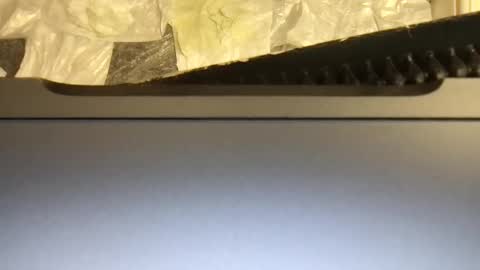 Snapshot of terence00000007 chatting on 11.09.25 Terence online show from 11.09.25