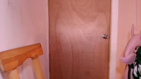 Snapshot of terraelowen chatting on 01.18.26 Terra Elowen online show from 01.18.26