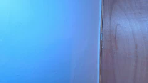 Snapshot of terraelowen chatting on 02.15.26 Terra Elowen online show from 02.15.26