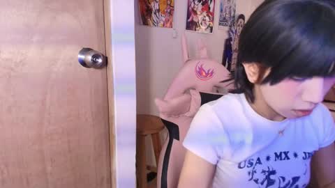 Snapshot of terraelowen chatting on 02.17.26 Terra Elowen online show from 02.17.26