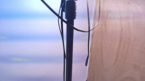 Snapshot of terraelowen chatting on 02.20.26 Terra Elowen online show from 02.20.26