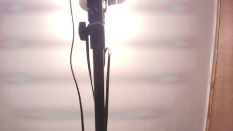 Snapshot of terraelowen chatting on 02.25.26 Terra Elowen online show from 02.25.26