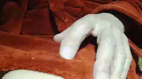 Snapshot of tetuo2 chatting on 10.14.25 tetuo2 online show from 10.14.25