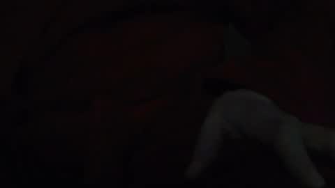 Snapshot of tetuo2 chatting on 11.17.25 tetuo2 online show from 11.17.25