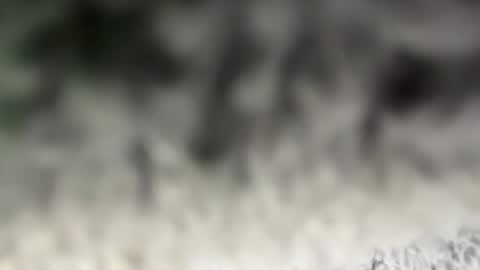 thankyoudaddy1 online show from 03.15.26