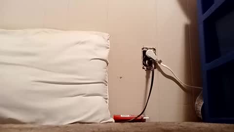 Snapshot of thatb1 chatting on 12.16.25 thatb1 online show from 12.16.25