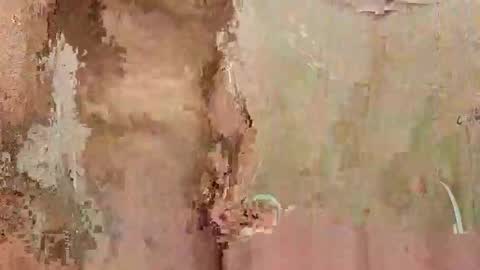 Snapshot of the1st_play_girl chatting on 12.30.24 the1st_play_girl online show from 12.30.24