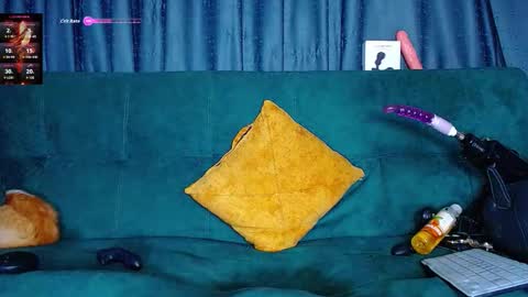 the dog lian online show from 03.07.26