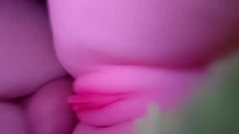 Snapshot of thebigcock4u222427 chatting on 05.30.26 thebigcock4u222427 online show from 05.30.26