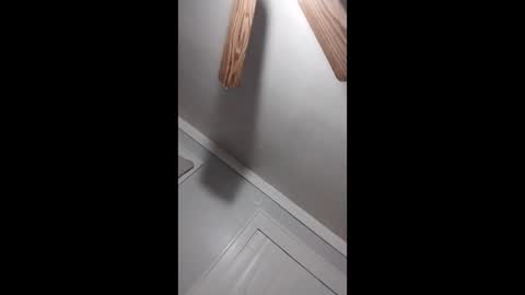 thedailyshower online show from 03.09.26