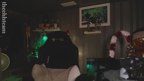 Snapshot of theehhteam chatting on 12.11.24 H online show from 12.11.24