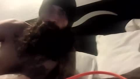 theh4iryfi5h online show from 02.21.26