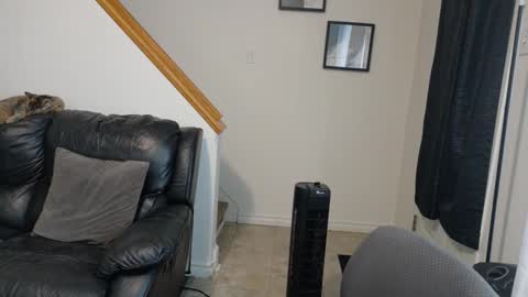 thekodyy online show from 11.14.25