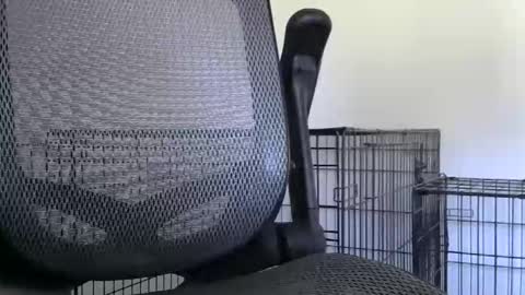 Snapshot of themaneb chatting on 10.23.25 themaneb online show from 10.23.25