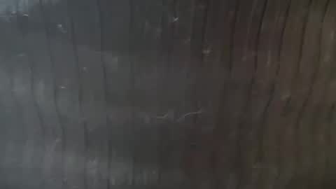 Lucy Lucy online show from 11.22.25