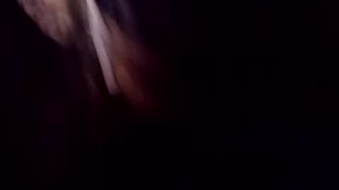 Snapshot of theprofessorxo chatting on 09.29.25 theprofessorxo online show from 09.29.25