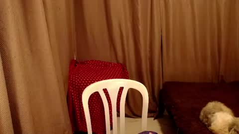 MIMI online show from 11.27.25