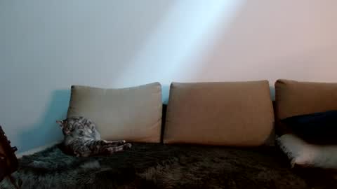 Snapshot of therealkingyoshi chatting on 01.11.25 Yoshi online show from 01.11.25