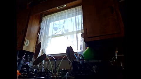 therizzler_1_of_1 online show from 09.11.25