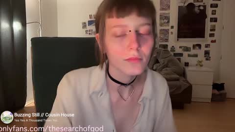 Snapshot of thesearchofgod chatting on 01.30.25 LISA                                            online show from 01.30.25