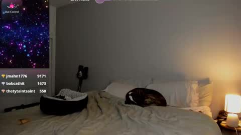 Snapshot of theselina_kyle chatting on 01.24.25 Selina Kyle online show from 01.24.25