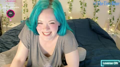 Snapshot of thetinyblue chatting on 04.22.26 Tiny Blue online show from 04.22.26