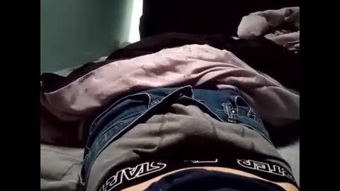 theturtleshead online show from 01.23.25