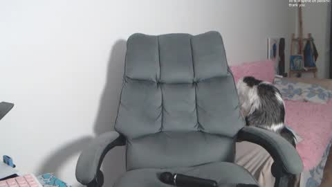 theysaidimcute online show from 02.19.26