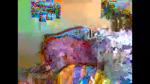 thickassvillageebony online show from 11.25.25