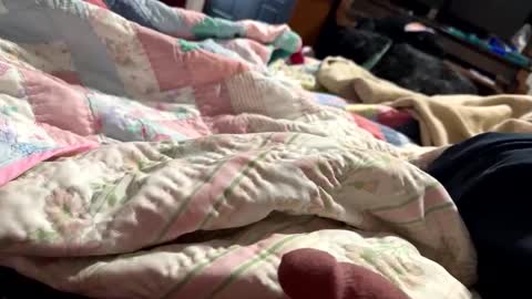 thickdic44 online show from 02.12.25