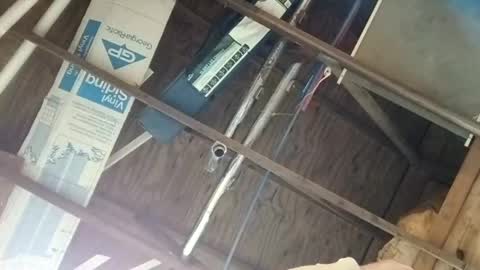 Snapshot of thickstick111222 chatting on 09.10.25 thickstick111222 online show from 09.10.25